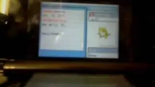 soul silver shiny badge quest update