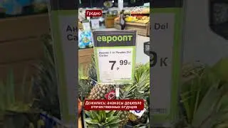 🥒 Беларусский огурец дороже ананаса: как так вышло, что &laquo;своё&raquo; стало роскошью? #цены #огурцы #ананас