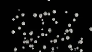 Pearls Falling Black Screen