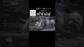 下位ゾシア 周回 普通の狩猟とは別の難しさがあってなかなか苦戦してます