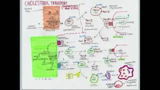Hereditary Disorders of Lipid Metabolism - CRASH! Medical Review Series