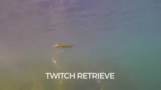 Swimming Action: Original Floater