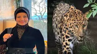 On Animal Suffering and Divine Justice in the Qur'an عن حكمة الله و عدله في ابتلاء الحيوانات