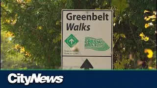 'Return the people's Greenbelt': Opposition leaders attack Premier Doug Ford