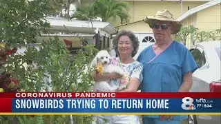 Medical advice for FL snowbirds wishing to migrate north amidst pandemic