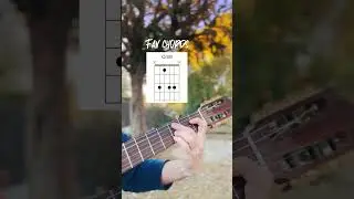 My Favorite chords! 🌿🎸