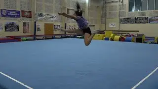 Local Competitive Cheer Team Champion Force Headed to Nationals