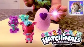 Lillykat Unboxes Surprise Hatchimal Colleggtibles Toys