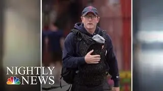 Daniel Craig Shamed On Social Media For Wearing A Baby Carrier | NBC Nightly News