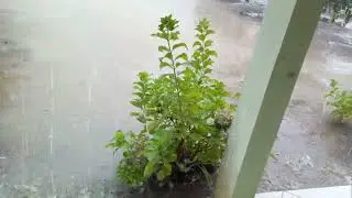 Muita chuva em Murutuba pede uma moqueca saborosa.(1)
