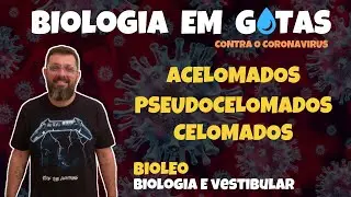 [Biologia em Gotas] - #23 Acelomados, Pseudocelomados e Celomados