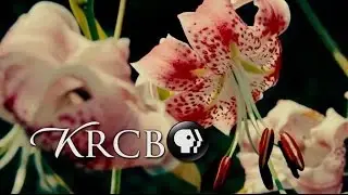 Bay Area Bountiful: Gardening & Community