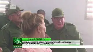 Cuba: Programa de producci&oacute;n de arroz en La Sierpe