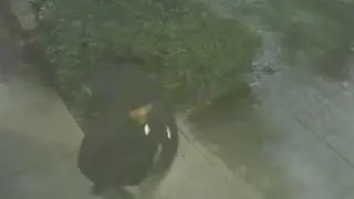 Search underway for man who tried smashing into Miramar smoke shop