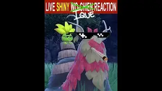 PART 4 - 24HR SHINY HUNT single player WR attempt