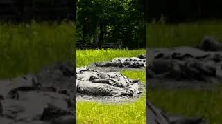 Battle of Gettysburg Rose Woods Before and After #shorts #war #viral #views