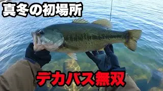 【短時間でデカバス連発】冬は◯◯を見つけたら簡単に釣れます