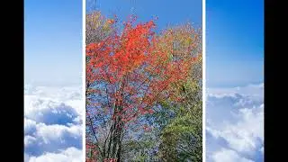 Fall at Lake Alden 2012