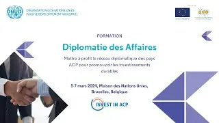 The French Edition of the UNIDO ACP Business Diplomacy Training (5-7 MARCH 2024), UN House Brussels