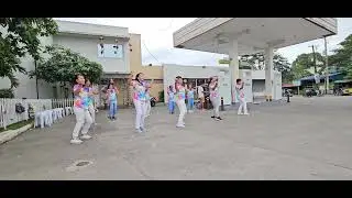 Malasin zumba ladies