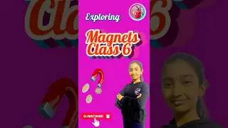 How Do Magnets Work? | Class 6 Science #shorts