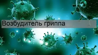 Возбудитель гриппа