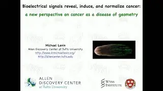 CHArT Seminar Series: Bioelectrical signals reveal, induce, and normalize cancer