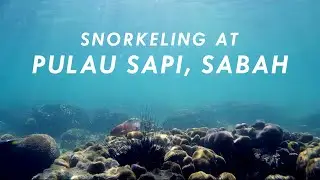Snorkeling at Pulau Sapi, Sabah #VisitSabah #VisitMalaysia