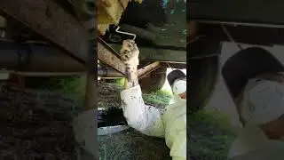 Captain Randy: How to Bottom Paint a Boat: Part 4