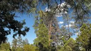 229 Durango Dr