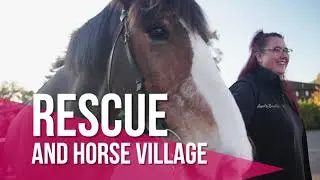 Your Horse Live (YHL) 2024 horse show event Stoneleigh Park promo