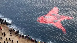 Incredible Moments Caught on Camera | Rare Real-Life Events You Won&rsquo;t Forget