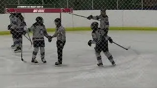 LTU Sports Report | Women's Hockey vs Miami University Highlights | 11-15-24