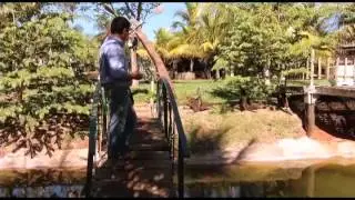 Vida Sustentável - Parte 1 - Novo Campo - 03/08/14