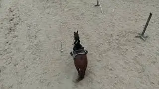Isobel Polebending, dr&ouml;nare DJI Flip, autotrack