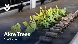 История клиента: Akre Trees | FlexSorter от TTA-ISO