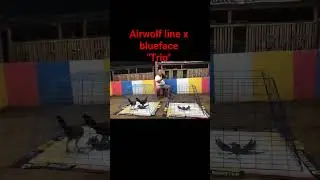 Airwolf line x blueface