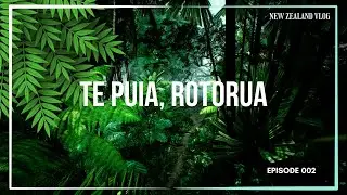 Exploring Te Puia, Rotorua &ndash; Geothermal Wonders & Māori Culture | New Zealand