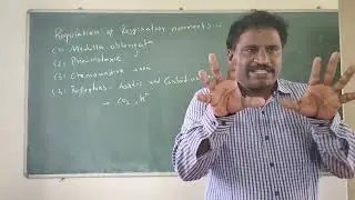 1st CO2 transport/ Mechanism/Diseases 