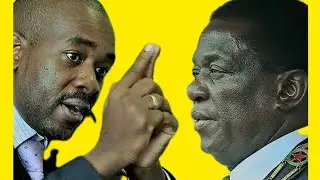LIVE Coverage // Zimbabwe 2023 Elections // Election Room // #ElectionsZW