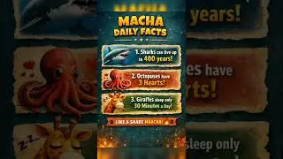 Sharks 400yrs, Octopus 3 hearts Giraffe 30min sleep! 🐾 #dailyFacts #animals #machafacts #funlearning