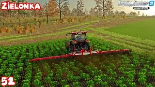 WEEDING with P&Ouml;TTINGER ROTOCARE V 12400 | Farming Simulator 22 Premium Edition | Zielonka | Ep 52