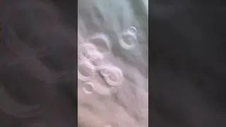 A shout out to the frist subsriber AND to yayday  TV for your coment down below