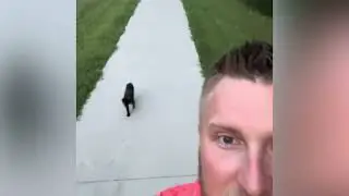 Cat Follows Owners