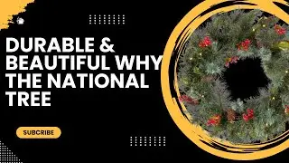 Durable & Beautiful Why the National Tree Company Wreath Is a Must-Have!#christmasdecor