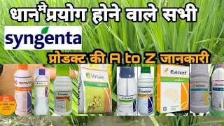syngenta all product paddy | धान मे syngenta के सभी प्रोडक्ट की जानकारी | syngenta all product list