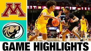 Minnesota vs Bemidji State Highlights | NCAA Men's Basketball | 2024 College Basketball