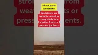 The Facts about Sandstorm in the Middle East #What Causes  #shorts