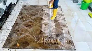 SOMuch Hidden Dirt in This Rug &ndash; Deep Carpet Cleaning&rdquo;