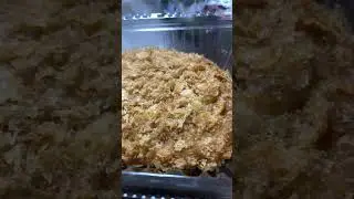 tonkatu food eat dinner lunch menu Live ASMR